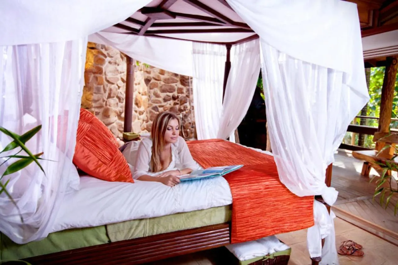 Holiday home Currumbin Rainforest Treehouse Currumbin Valley