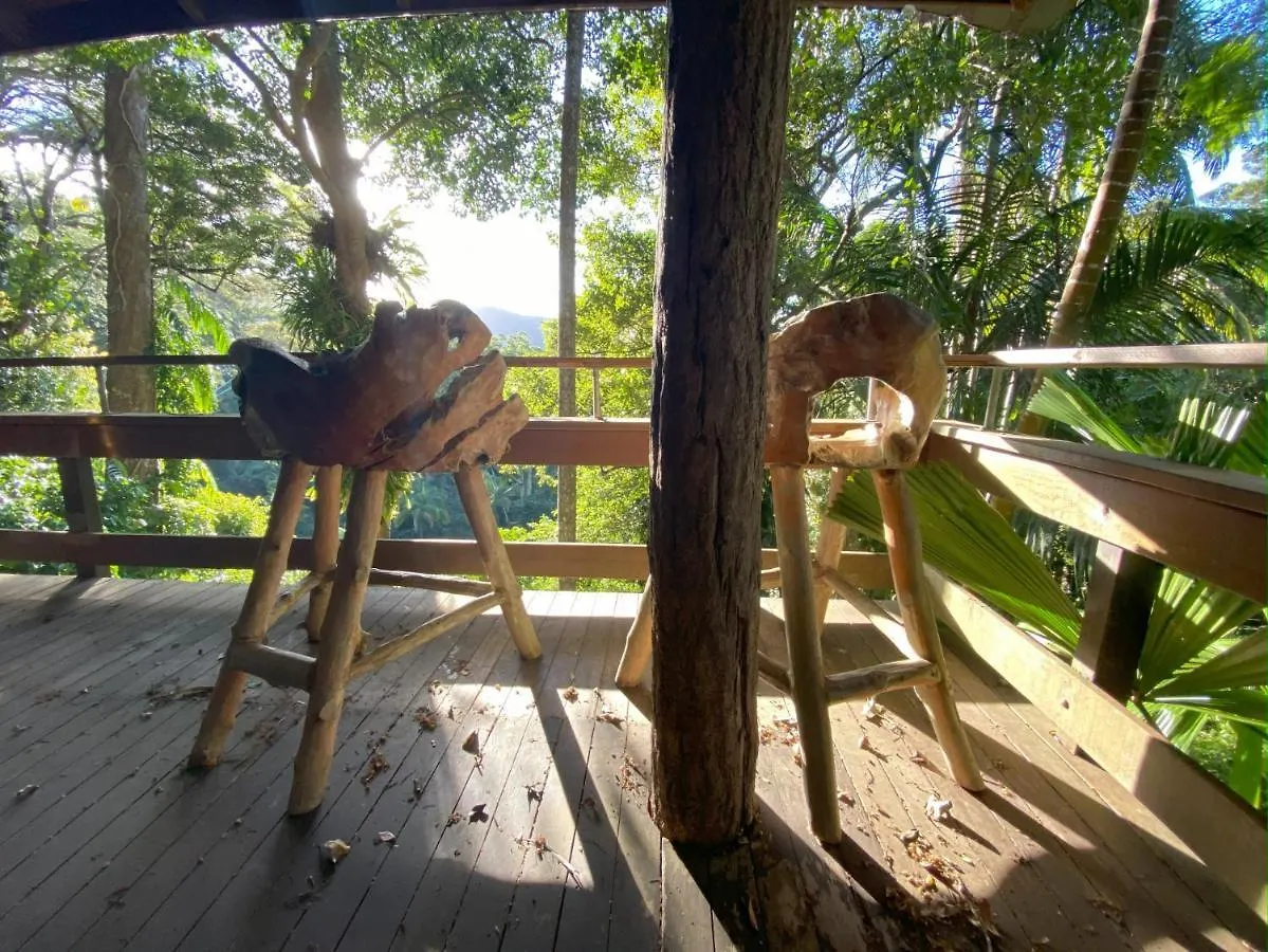 Holiday home Currumbin Rainforest Treehouse Currumbin Valley