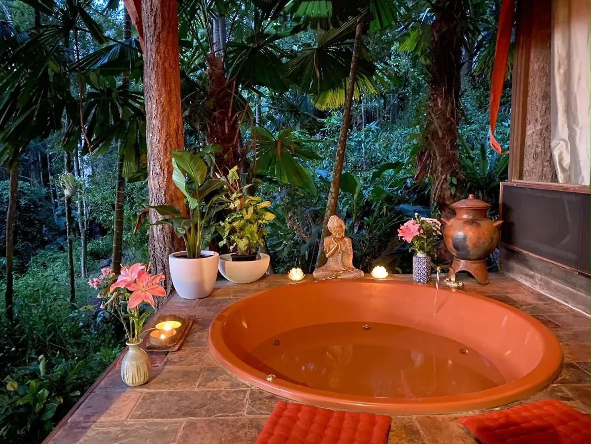 Holiday home Currumbin Rainforest Treehouse Currumbin Valley