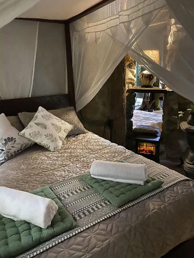 Currumbin Rainforest Treehouse Currumbin Valley Holiday home