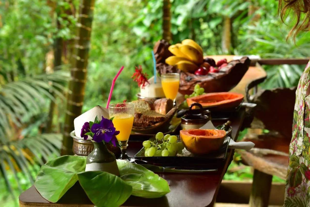 Currumbin Rainforest Treehouse Currumbin Valley 0*,  Australien