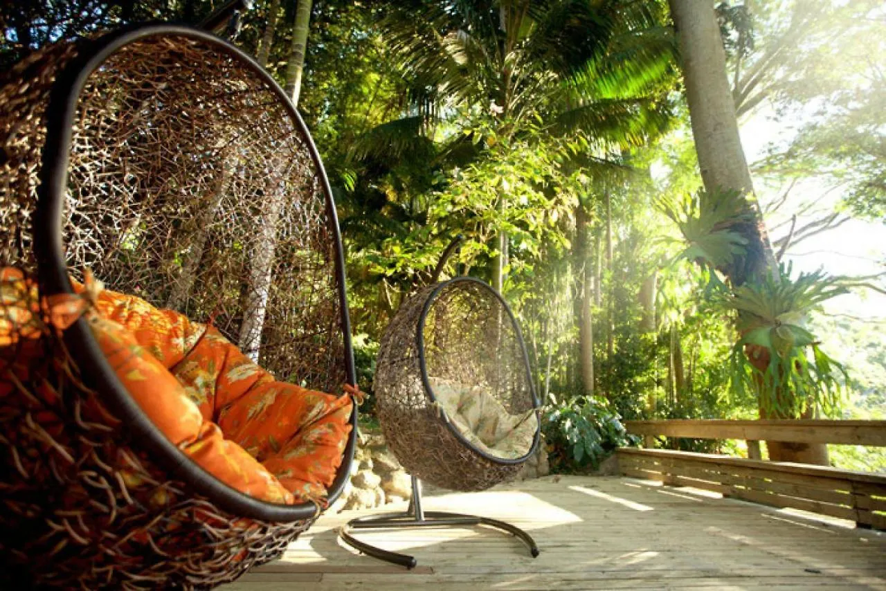 Currumbin Rainforest Treehouse Currumbin Valley Semesterbostad