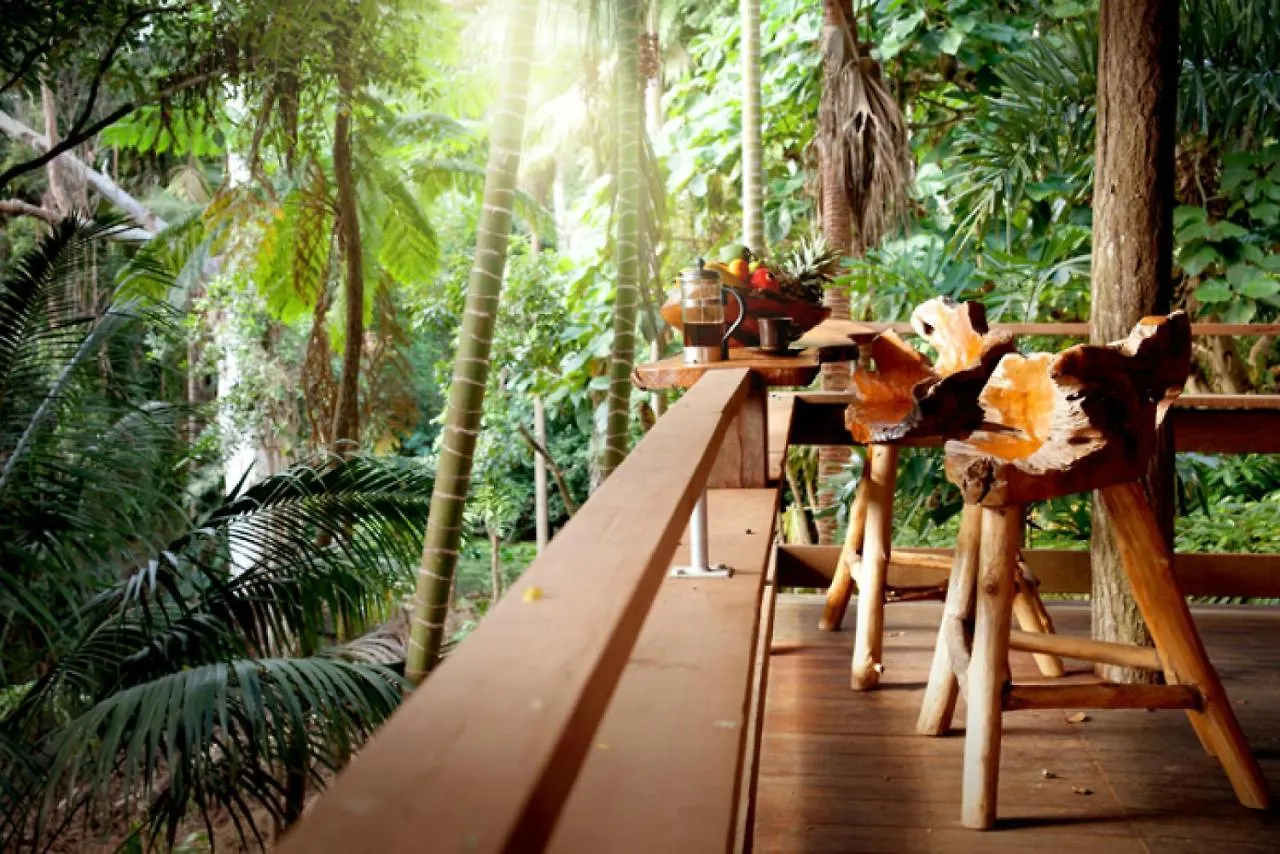 Semesterbostad Currumbin Rainforest Treehouse Currumbin Valley Australien