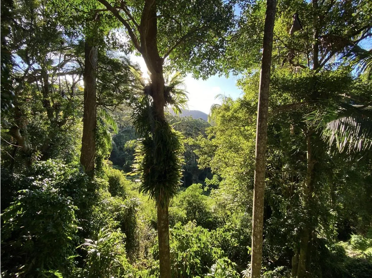 Semesterbostad Currumbin Rainforest Treehouse Currumbin Valley